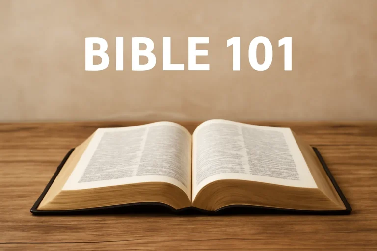 bible 101