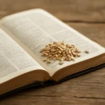 Bible Seeds: Meaning, Symbolism, and Significance in Scripture bible seeds