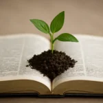 Bible Verse Plant Seeds: Biblical Lessons on Sowing and Growth bible verse plant seeds