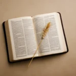 bible verses about living by faith