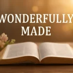 bible wonderfully made